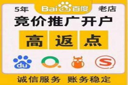 SEM公司案例分析：搜索引擎优化策略与执行